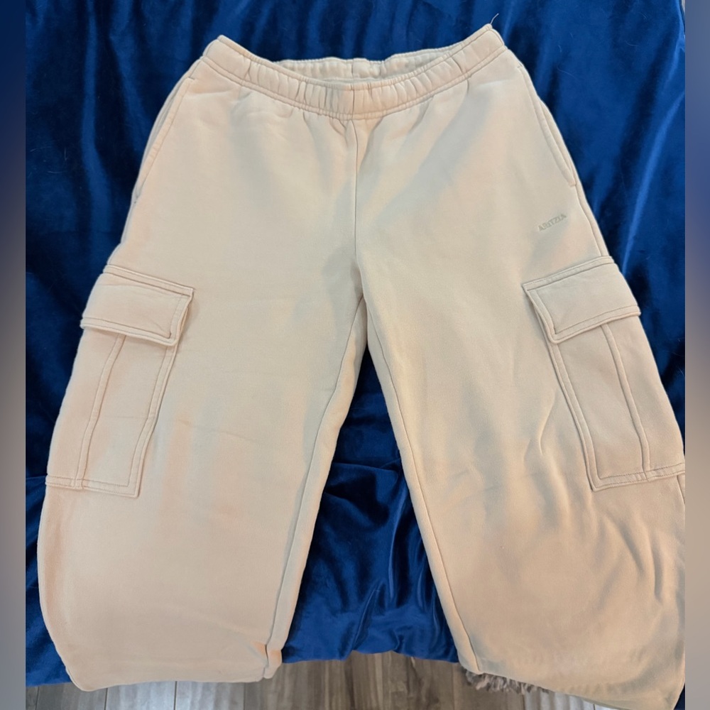 Aritzia Cozy Fleece Mega Cargo Sweatpants
